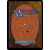 Magic The Gathering